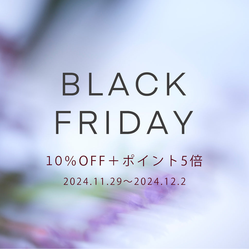 【ブラックフライデー】10%OFF+ポイント5倍